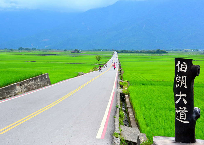 Dongshan Mr. Brown Avenue