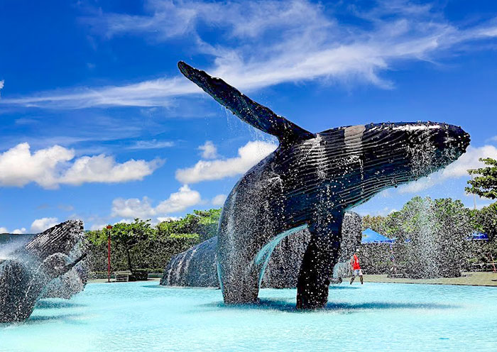 National Museum of Marine Biology and Aquarium