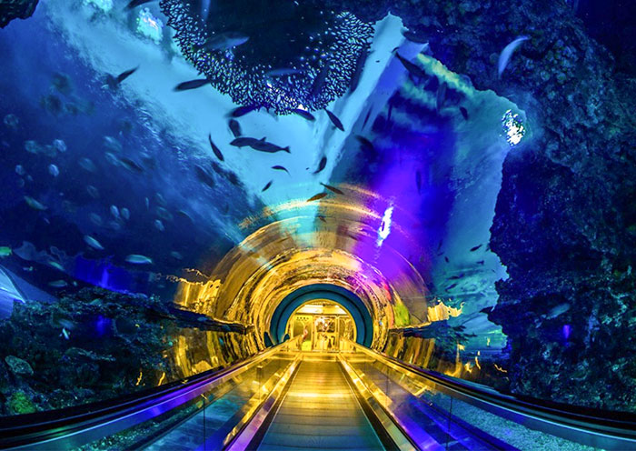 National Museum of Marine Biology and Aquarium